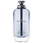 COACH - OPEN ROAD EDT 100ML